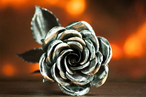 what is a steel rose